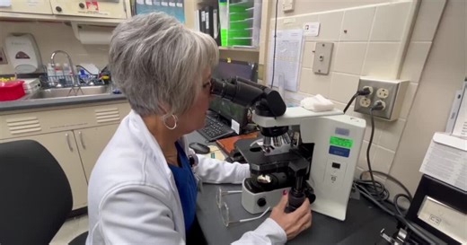 Bainbridge lab scientist shares thoughts on national med tech. shortage