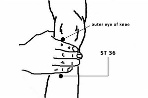 ST 36 Acupuncture Point(Zusanli) or Stomach 36 - PeakMassager