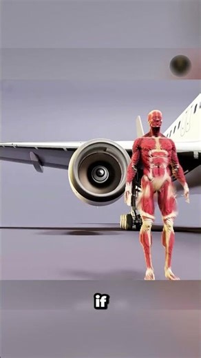 What Happens If You Put a Net on a Jet Engine?