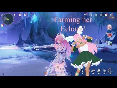 PSO2 LTQ then getting those WuWa Substats just right!