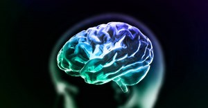 Afinal: o que é a “morte cerebral”? | Letra de Médico