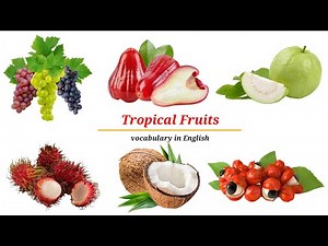 Tropical Fruits | Learn Names of Tropical Fruits in English | tropical fruits vocabulary #forkids
