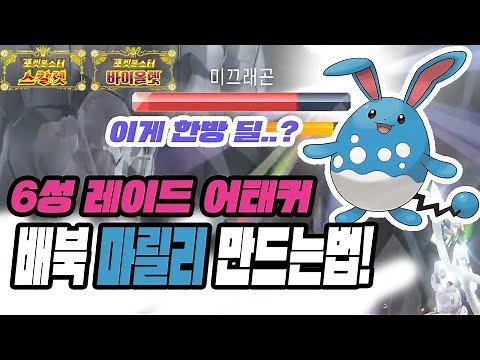 6성 레이드를 솔플 해버리는 배북 마릴리 만드는법!! [포켓몬스터 스칼렛 바이올렛]