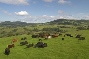 Paddock to Reef - Reef Catchments Paddock to Reef