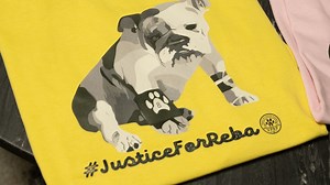 Justice for Reba t-shirts fundraise money for animal abuse