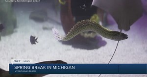 Spring Break Destinations from My Michigan Beach