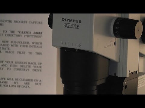 Olympus SZX12 stereomicroscope basic imaging