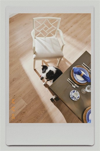 You can have it all... with PureGrain High-Def DLVT 🇺🇸 💧Waterproof 🏠 Installs over most existing floor 〰️ Superior scratch resistance 👣 Quiet comfort underfoot 🛣️ High dimensional stability ➰ High indentation resistance 🐶 Pet-friendly 🪵 Authentic wood look and feel 🎨 Designed with 35 unique planks 🇺🇸 Made in the U.S.A. - Nurture 6009 Renew Your dream floor awaits. Come see us today at 4466 S. 108th Street, Greenfield, WI 53228! #EngineeredFloors #HomeDesign #PureGrain #HighDef #Floori