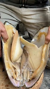 31K views · 368 reactions | Amazing Natural Life | Amazing Foods | Facebook