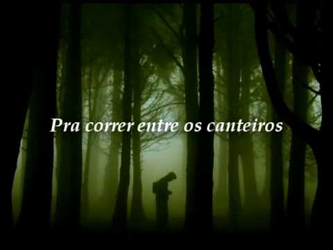 ♪ Fagner - Canteiros ♫ (com legenda)