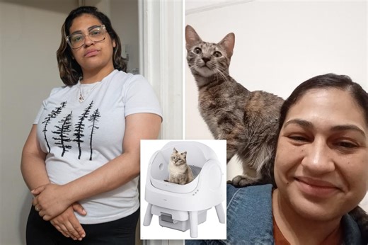 NYC couple claims beloved rescue kitty crushed by self-cleaning litter box