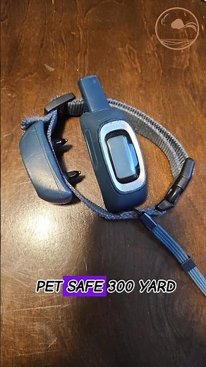 Transform Your Dog Walks! PetSafe 300 Yard Remote Training Collar Review 🐕 #petcare #pets #ytshorts