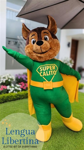 Custom Mascot Costume, Custom Life-size Mascot Costume, Custom Costume - Etsy