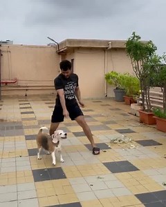 102K views · 221 reactions | #Watch: While trying to show us the after-effects of the #CycloneTauktae, Soha Ali Khan Pataudi went on her terrace, and found Kunal Kemmu channelling his inner Anil S Kapoor instead #sohailkhan #KunalKemmu #AnilKapoor #cyclone #bollywood #terrace #actors | Delhi Times | Facebook