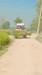 90K views · 6.8K reactions | #challenges #reels #viral ☘☘☘鹿鹿鹿鹿 鹿鹿鹿‍❤️‍ Everyone @highlight @followers | Makeup Artist | Facebook