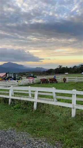 川上麻衣子 on Instagram: "清里、清泉寮の朝"