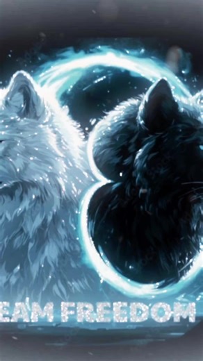 team freedom officiel (@teamfreedomofficiel)’s videos with son original - team freedom officiel