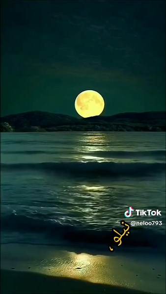 Emotional Nature Landscapes Set to Sad Songs