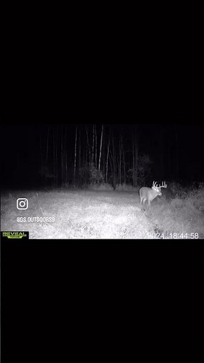 Wisconsin Opening Day Deer Hunting 2024