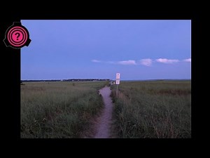 SCP-USA64-356 - Figuras en la Orilla