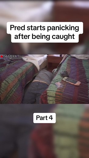 Pred goes insane when confronted| youtube/credit-omma| Part 3| #truecrime #police #youtube #clips #youtubeclips #viral #predator #predatorfish #predators #predatorcatchers #fyp