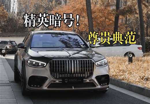 请收好这份精英暗号|LUMMAGS650齐伯林