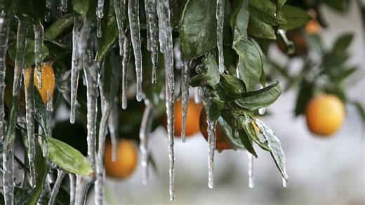 Map: Average first freeze dates have shifted later for most of the US since 1970