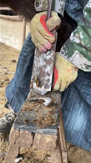 Love animals in 2026. Donkey hooves trimming is very relaxing.