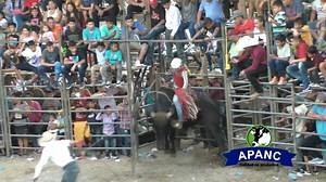 4 días del Gran Rodeo Internacional se podrán disfrutar en el marco de las Fiestas Co-Patronales de Nueva Concepción, además de la feria agropecuaria que también es una tradición por parte de APANC, para conocer las fechas, horarios y costos, le presentamos la siguiente nota Las primeras dos personas que coloque en los comentarios captura de pantalla de una de las pistas que se encuentran en la nota tendran una entreda gratis a uno de los jaripeos, pendiente. #jaripeo #fiestas #NuevaConcepcion #