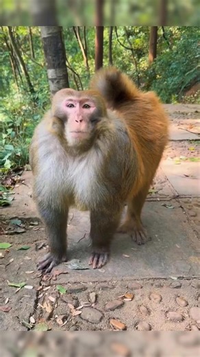 Fauna, nature, and strange occurrences #occurrences #occurrence | Strange Animal Planet | Facebook