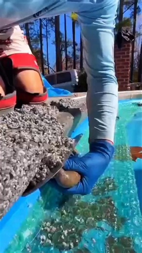 three development methods#shortvideos #construction #building #diy #american