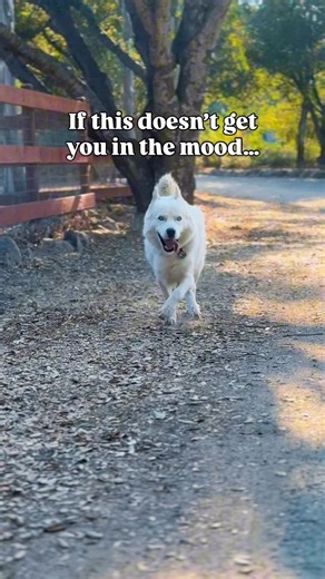 622K views · 33K reactions | If this doesn’t get you in the mood to...