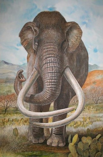 Columbian Mammoth Sound Effects 🦣 🔊