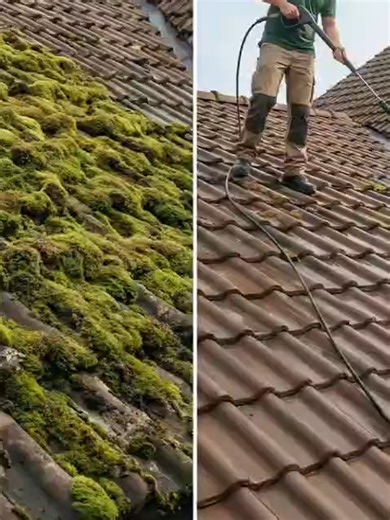 Nettoyage professionnel de toits, villas et bureaux Nous offrons des services de nettoyage complets et soignés pour vos toitures, villas et espaces de bureaux. Produits de qualité, équipe expérimentée et résultats impeccables.🧼✨ #genève #avantapres #Services #centreville #cleaningcompany