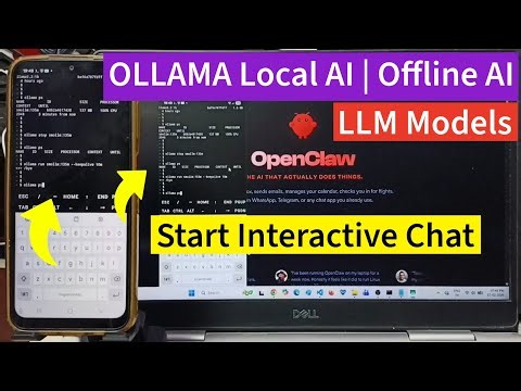 Ollama Local AI | How to Start Interactive Chat with a Model | Ollama Offline AI