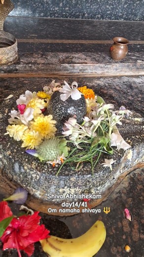 shiva Abhishekam #chagantigaaripravachanalu #day14 #41days #wealth #astrology #devine #manifestation