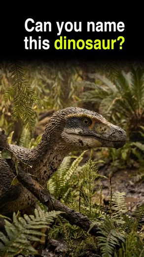 A small, agile predator with sharp teeth and sickle-shaped claws, lurking in the forests of the Late Cretaceous. #Predator #Cretaceous | Primeval Planet