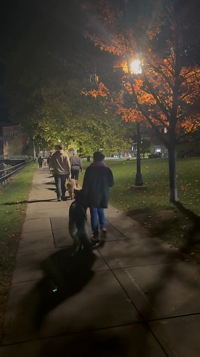 13 dog 13 people taking over Potsdam at dark! | Mountainside K9 Dog Training LLC