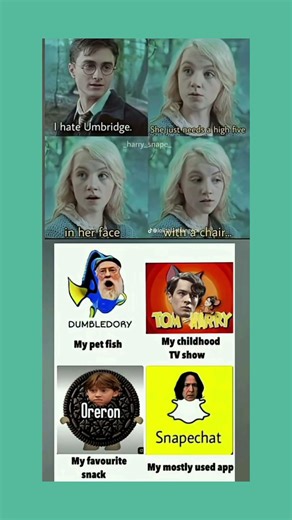 The Ultimate Wizarding World Pun-tastic Mashup #harrypotter #shorts #shortsfeed