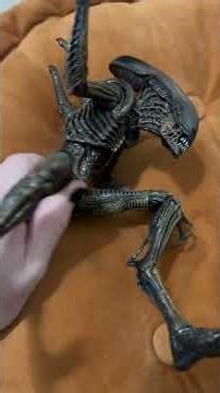 Xenomorph review
