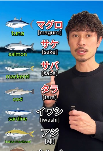 Fish Names in Japanese🇯🇵 Which of these Japanese words have you heard before? マグロ（maguro）- tuna サケ（sake）- salmon サバ（saba）- mackerel タラ（tara）- cod イワシ（iwashi）- sardine アジ（aji）- horse mackerel カレイ（karei）- flounder #learnjapanese #studyjapanese #japaneselesson #jlpt #日本語