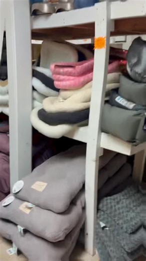 Open till 8pm tonight! Don’t miss these one day deals for Black Friday! This is the best time to fill your pet’s Christmas list. | Beach's Pet Place