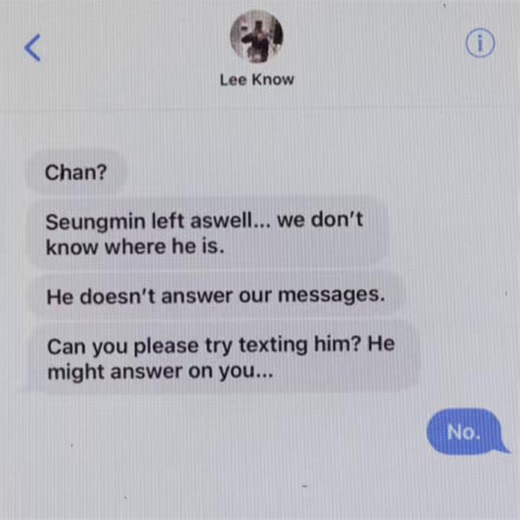 PART 4!! @★wolf_chn8★ @(づ｡◕‿‿◕｡)づ gιηηу ٩(˘◡˘)۶ @paula_garciaa11 @leeknowsairfryer993 #skz #chanmin #fyp #straykids #viral