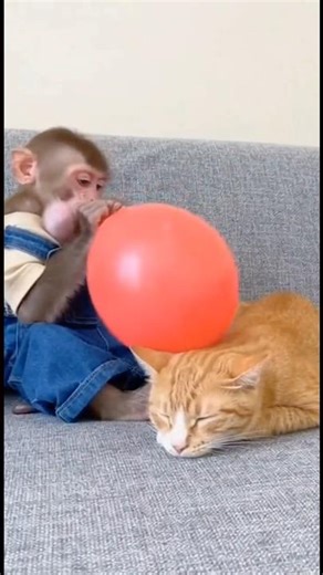 你需要的，不是更多老师，而是一套你自己看得懂、用得出的判断方式。能看懂，你才走得久 #PMCK