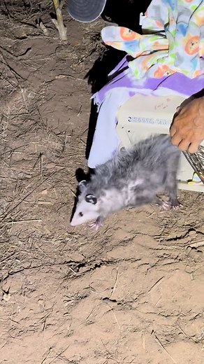 7.9K views · 275 reactions |  Happy Freedom Friday! This young...