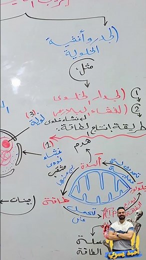 الفرق بين الخلية النباتية والخلية الحيوانية في أقل من دقيقة | علوم تالتة إعدادي & أولى ثانوي