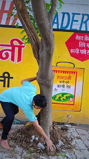 “Protecting Trees: A Lifelong Responsibility for Future Generations” / Trees plants info