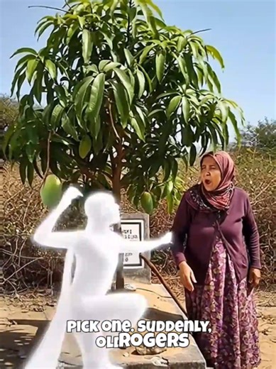 Old Rogers' Mango Tree