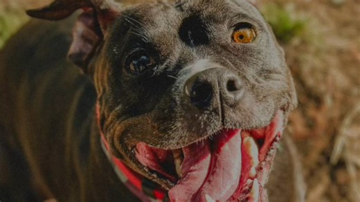 2K views · 30 reactions | BFF Week - Day Two! Rose & Lorenzo (RoLo!)...