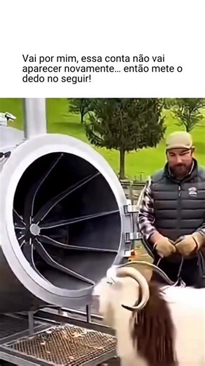 Fatos Que Despertam on Instagram: "A publicação compartilha um vídeo humorístico de uma ovelha entrando totalmente lanosa em uma máquina de tosquia automatizada e saindo careca em segundos, com uma legenda que faz um trocadilho com “entrou horny” (aludindo aos chifres do animal) e “saiu sem nada” para efeito cômico. Isso demonstra a Shear Express, um dispositivo móvel de tosquia automatizada que processa ovelhas em menos de 10 segundos — muito mais rápido do que os 2 a 5 minutos exigidos pelos m
